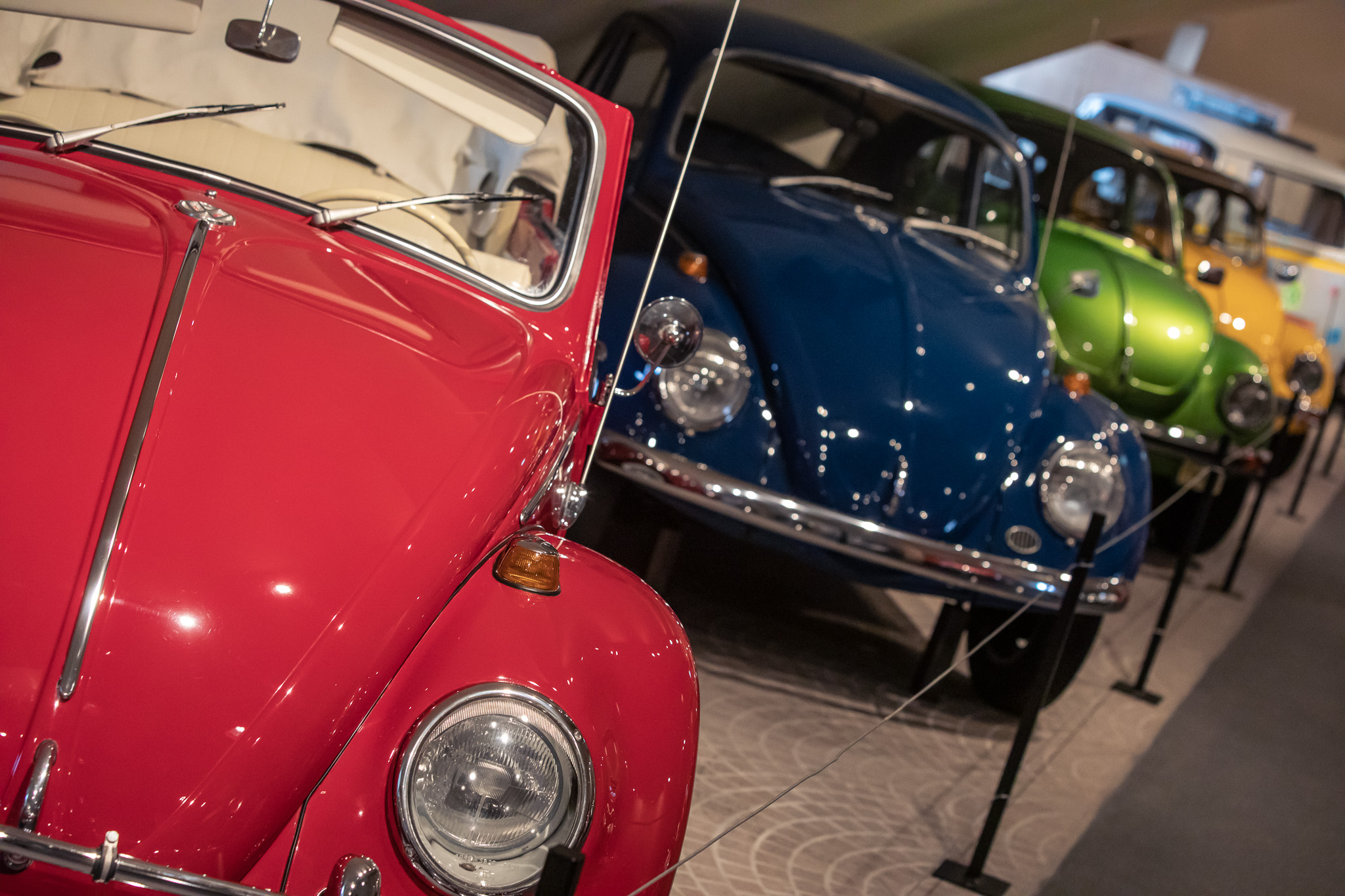 Mehrere VW Käfer stehen im Museum. Alle in unterschiedlichen Farben