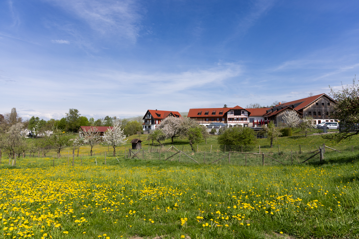 Das Areal rund um das Auto & Traktormuseum, umgeben von blühenden Obstbäumen.