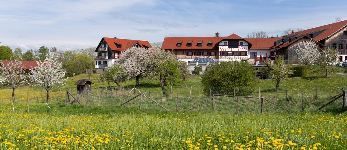 Blick auf das Museum. Im Vordergrund blühende Obstbäume und Löwenzahnwiese.