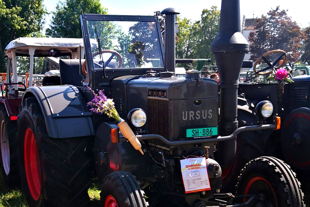 Ein Ursus C45 steht bei einem Traktor-Event auf einer Wiese.